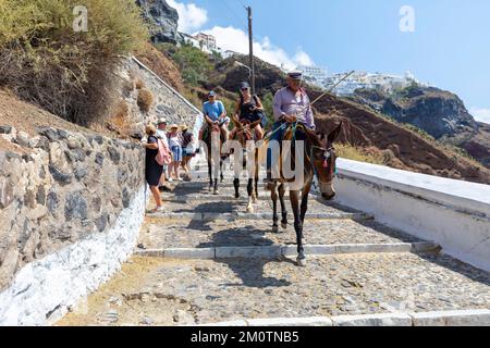 Grecia, le Cicladi, l'isola di Santorini (Thera o Thira), villaggio di Fira, ornamento tradizionale sulla fronte di un asino utilizzato per trasportare i turisti su e giù per le scale che portano alla riva da Fira Foto Stock