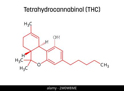 Tetraidrocannabinolo, o THC, struttura molecolare. Il tetraidrocannabinolo è il principale farmaco psicoattivo della cannabis. Formula strutturale vettoriale del composto chimico con legami rossi e etichette di atomi neri. Illustrazione Vettoriale