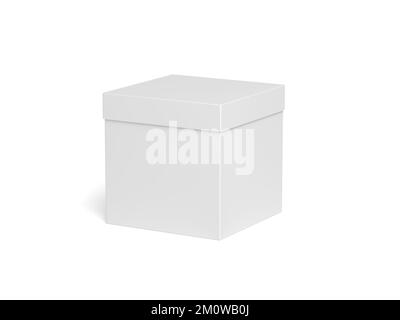 Box isolato su sfondo bianco. Vuoto. illustrazione 3d. Foto Stock