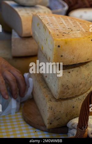 Formaggio artigianale alla fiera di vendita al banco nel mese di novembre. Mercato contadino presenta i prodotti di caseificio privato. Messa a fuoco selettiva, profondità ridotta Foto Stock