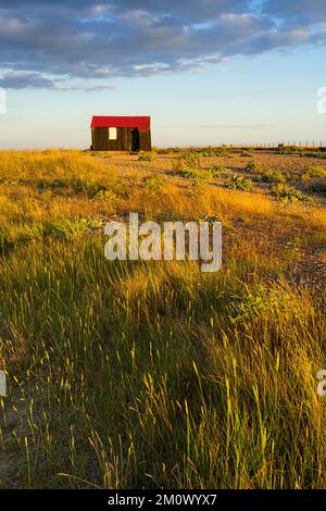 Riserva naturale di Rye Harbour al Sunset Hut con tetto rosso Rye Harbour Rye East Sussex Inghilterra UK GB Europe Foto Stock