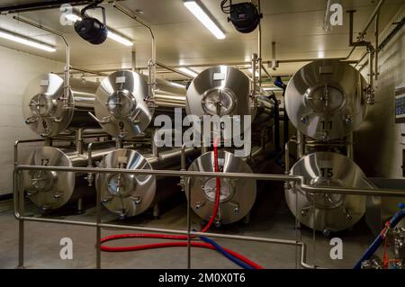 Moderno interno di una fabbrica di birra contenente tini in acciaio inossidabile nelle ardenne in Belgio Foto Stock