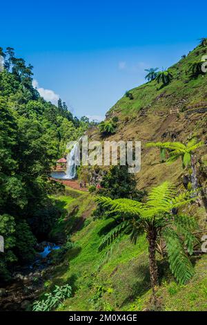 Bella valle in Achada, isola di Sao Miguel, Azzorre, Portogallo, Europa Foto Stock