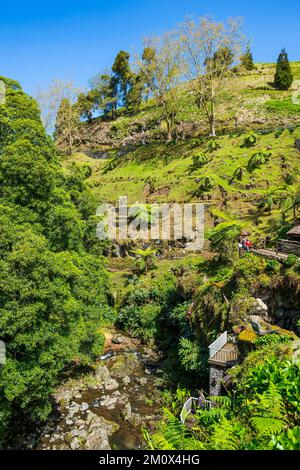 Bella valle in Achada, isola di Sao Miguel, Azzorre, Portogallo, Europa Foto Stock