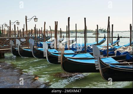 Vista delle gondole ormeggiate in Piazza San Marco, Venezia, Italia Foto Stock