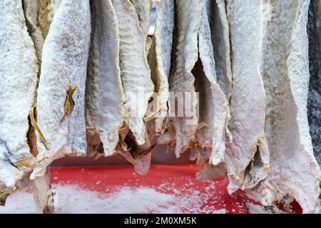 Bacalao di merluzzo secco salato al banco di un negozio di pesce. Tradizionale piatto di pesce di mare portoghese e scandinavo. Foto di alta qualità Foto Stock