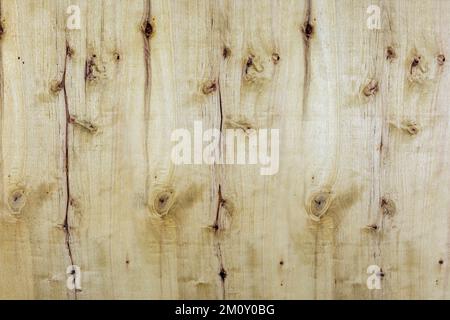 Tessitura di legno vecchio e usurato in varie sfumature con nodi e crepe ideale per sfondi e disegni vari Foto Stock