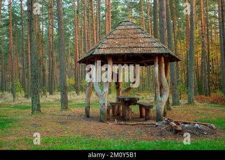 Gazebo in legno. Tetto, tavolo e panche. Area di riposo. Foto Stock