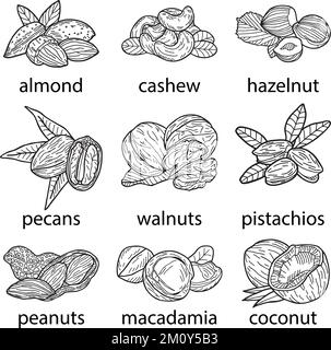 Set di dadi, disegno vettoriale a mano. Illustrazione Vettoriale