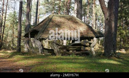 Centro di villeggiatura all'aperto vecchio e pubblico, nel mezzo della foresta, tavolo, panchine, fienile. Tutto è fatto di legno Foto Stock