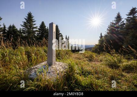 Obelisco di confine e lungo il confine internazionale tra Stati Uniti e Canada Foto Stock