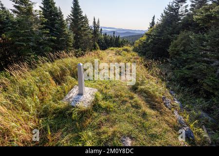 Il marcatore pietra indica il confine internazionale tra Stati Uniti e Canada Foto Stock