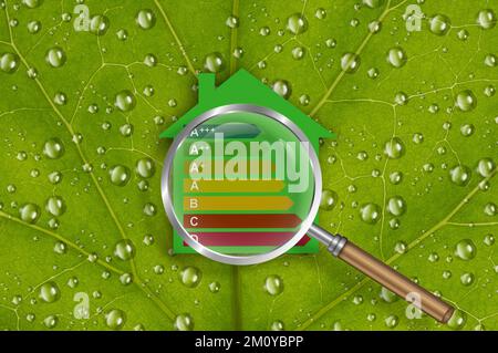 Risparmio energetico, concetto di casa di famiglia e immobiliare, lente d'ingrandimento, una casa verde con valutazione di efficienza energetica, sfondo verde con foglia con de Foto Stock