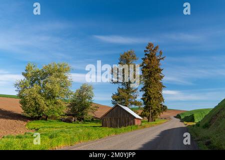 Tipica campagna americana con una strada di ghiaia accanto a un fienile di legno rosso intemperiato a Palouse Hills, Washington Foto Stock