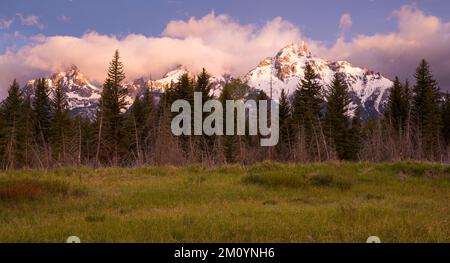 Alba sulle cime innevate delle montagne e splendide nuvole rosa e viola sopra un prato erboso nel Parco Nazionale di Grand Teton, Wyoming Foto Stock