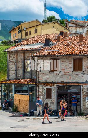 Fioritura nei campi di lenticchie a Castelluccio di Norcia Foto Stock