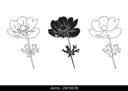 Set di fiori di anemone disegnati a mano su sfondo bianco. Illustrazione vettoriale in silhouette in bianco e nero, stili di linea Illustrazione Vettoriale