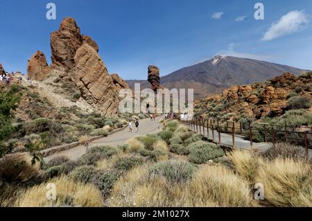 Roque Cinchado nel Parco Nazionale del Teide Foto Stock
