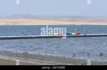 Kayak dai colori vivaci legati su un molo sul bordo della Riserva Nazionale di Paracas,. Numerosi sono i waders che si alimentano lungo la linea d'acqua e l'arido Foto Stock