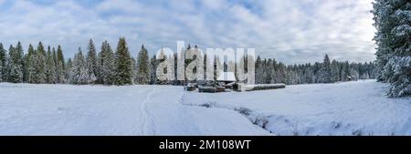 Winter Panorama mit Haus am Waldrand, frisch verschneite Landschaft in Vorarlberg, Österreich. Ferienhaus im Wald, Urlaub im Schnee Foto Stock