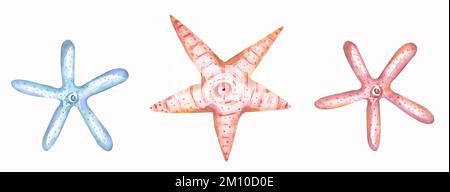 Acquerello oggetti marini set, stella marina clipart. Delicate illustrazioni blu e rosa Foto Stock