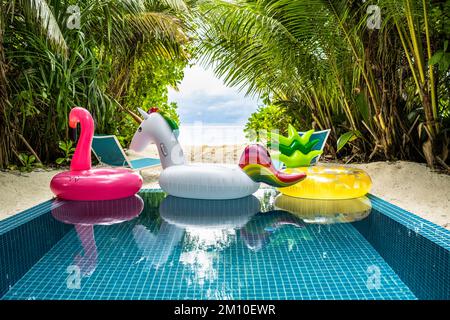 Fun Blue Water Pool in estate con anelli gonfiabili Foto Stock