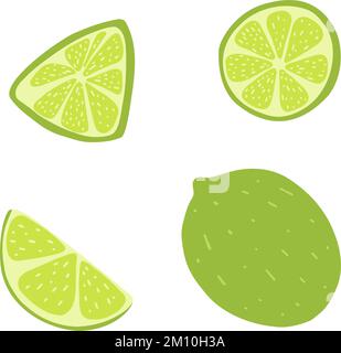 Lime intero e a fette in stile piano cartoni animati. Illustrazione vettoriale disegnata a mano di limone verde, alimenti freschi di salute, icona di agrumi. Illustrazione Vettoriale