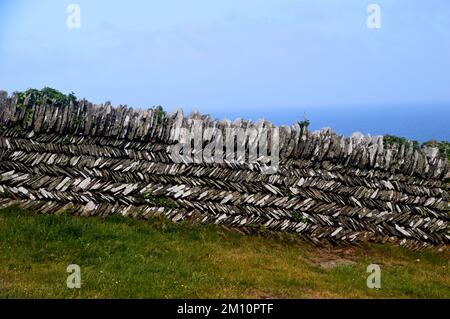 Tradizionale 'Curzyway' Cornish ardesia muraglia di pietra a secco artigianale vicino Willapark sul South West Coastal Path, Cornovaglia, Inghilterra, Regno Unito. Foto Stock