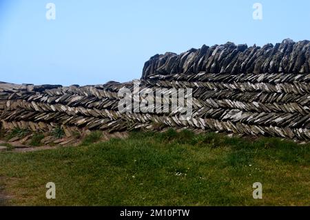 Tradizionale 'Curzyway' Cornish ardesia muraglia di pietra a secco artigianale vicino Willapark sul South West Coastal Path, Cornovaglia, Inghilterra, Regno Unito. Foto Stock