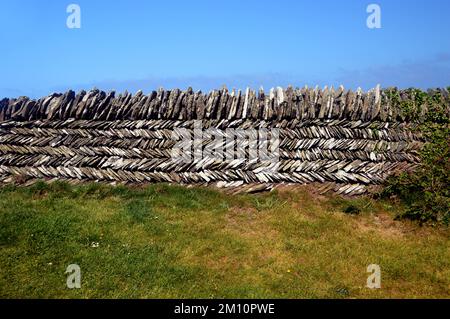 Tradizionale 'Curzyway' Cornish ardesia muraglia di pietra a secco artigianale vicino Willapark sul South West Coastal Path, Cornovaglia, Inghilterra, Regno Unito. Foto Stock