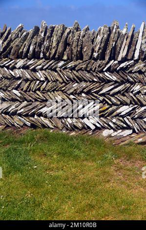 Tradizionale 'Curzyway' Cornish ardesia muraglia di pietra a secco artigianale vicino Willapark sul South West Coastal Path, Cornovaglia, Inghilterra, Regno Unito. Foto Stock