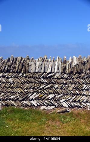 Tradizionale 'Curzyway' Cornish ardesia muraglia di pietra a secco artigianale vicino Willapark sul South West Coastal Path, Cornovaglia, Inghilterra, Regno Unito. Foto Stock