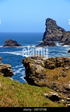 Saddle Rocks, Long Island e Trambley Cove da South West Coastal Path vicino a Rocky Valley, Tintagel, Cornovaglia, Inghilterra, Regno Unito. Foto Stock