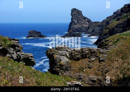 Saddle Rocks, Long Island e Trambley Cove da South West Coastal Path vicino a Rocky Valley, Tintagel, Cornovaglia, Inghilterra, Regno Unito. Foto Stock