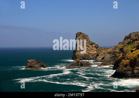 Saddle Rocks, Long Island e Trambley Cove da South West Coastal Path vicino a Rocky Valley, Tintagel, Cornovaglia, Inghilterra, Regno Unito. Foto Stock