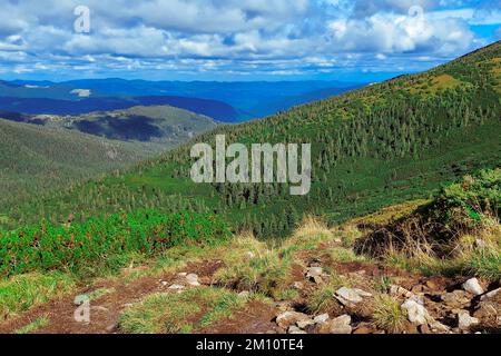 Paesaggio autunnale ad alta quota dei Carpazi ucraini Foto Stock