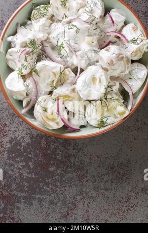 Insalata di patate fatta in casa con sottaceti, aneto e cipolla rossa con creme fraiche condimento primo piano in un piatto sul tavolo. Vista verticale dall'alto Foto Stock