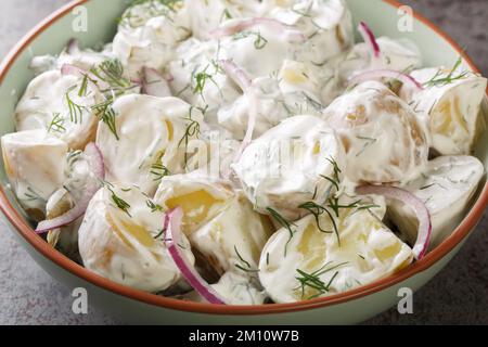 Fransk Potatissallad insalata di patate novelle con sottaceti, aneto e cipolla rossa con creme fraiche primo piano in un piatto sul tavolo. Orizzontale Foto Stock