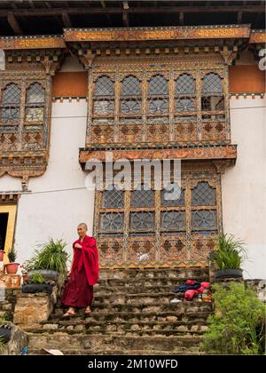 Monaco al Nalanda Buddista Istituto Bhutan Foto Stock