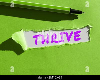 La scrittura che mostra il testo prospera. Approccio aziendale pensare positivamente continuare a prosperare e fiorire il tempo di fiorire Foto Stock