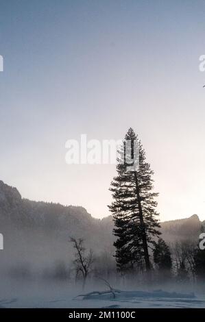 La valle di Yosemite è circondata da un sottile strato di nebbia che si estende sul fiume merced, fornendo un'atmosfera inquietante intorno al tramonto. Foto Stock