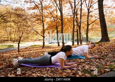 I giovani stanno facendo esercizi fisici sui carri nel parco Foto Stock