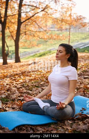 Giovane donna siede in un parco su un carimate e fa yoga Foto Stock