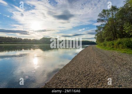 Szigetköz (isola di Little Rye, Kleine Schüttinsel): fiume Danubio, foresta nelle pianure alluvionali del Danubio, Györ-Moson-Sopron, Ungheria Foto Stock