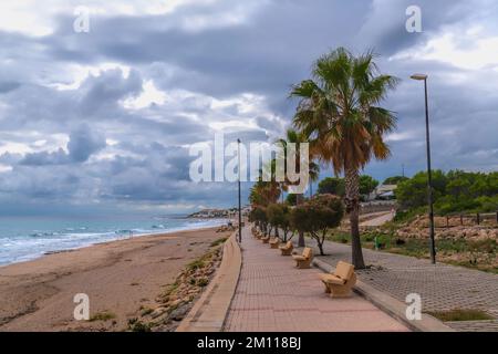 La spiaggia di l’Almadrava Spagna e le palme Costa Dorada Catalonia Foto Stock