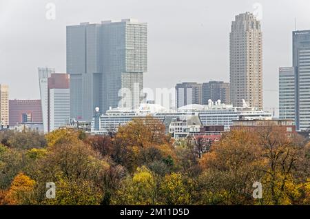 Rotterdam, Paesi Bassi, 29 novembre 2022: Vista attraverso il Parco nei colori autunnali verso il molo Wilhelmina con una grande nave da crociera Foto Stock