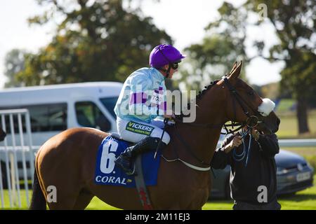 Jockey Paul Hanagan su Rousing Encore alle corse di York. Foto Stock