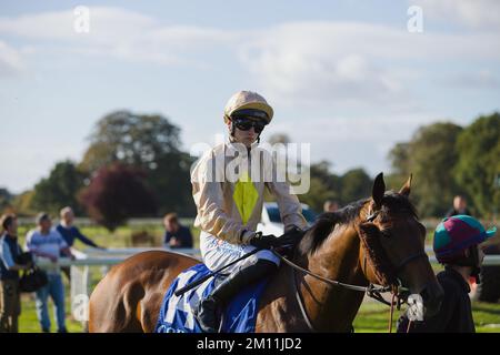 Il jockey Oisin McSweeney aspetta di essere condotto nelle porte di partenza alle corse di York. Foto Stock