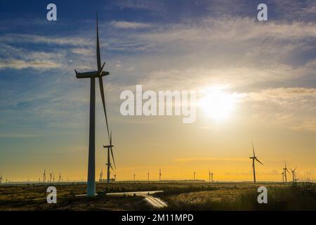 Tramonto invernale presso la centrale eolica Whitelees, Eaglesham Moor, vicino a Glasgow, Scozia, Regno Unito Foto Stock