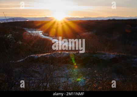 Brekkuskógur, paesaggi e primi piani al gelo Foto Stock